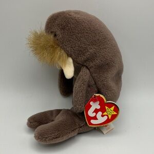 3/$30 | TY Beanie Babies | Jolly the Walrus Plush